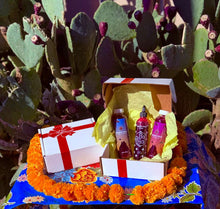 Load image into Gallery viewer, Holiday Gift Box
