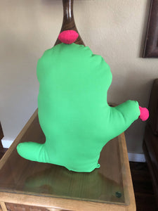 Prickly Pear Pillows